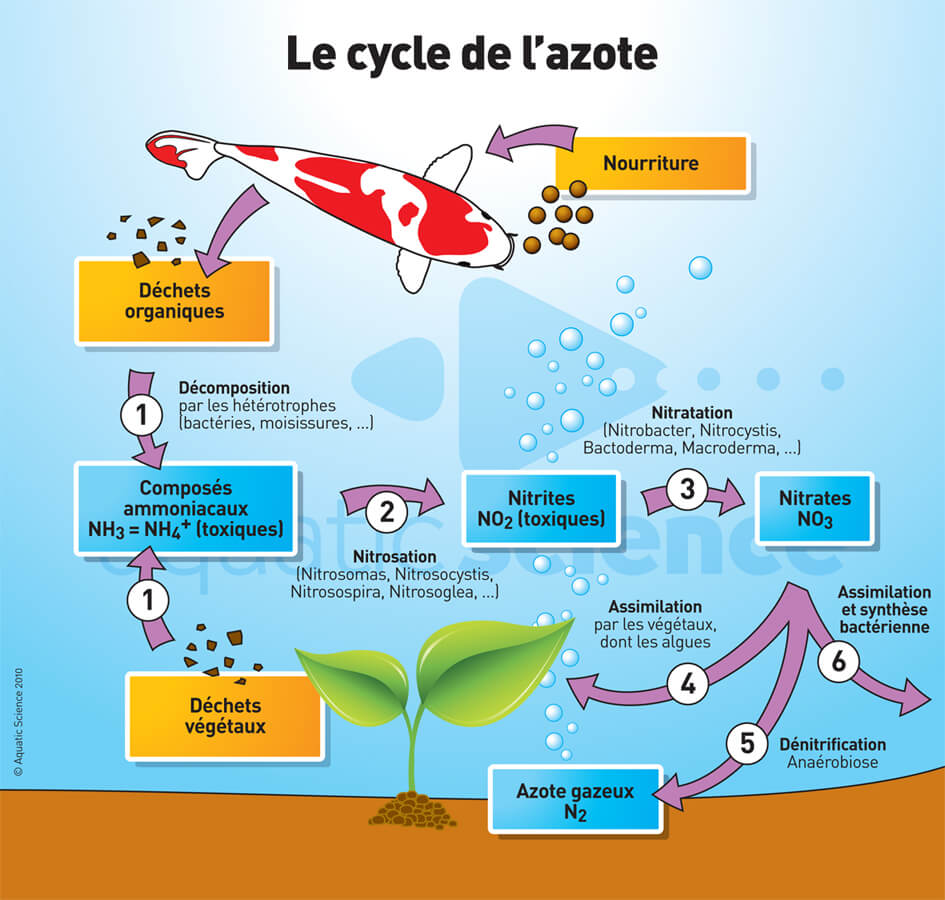 bonne qualité d’eau