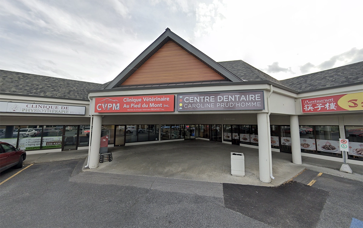 Clinique vétérinaire au pied du mont