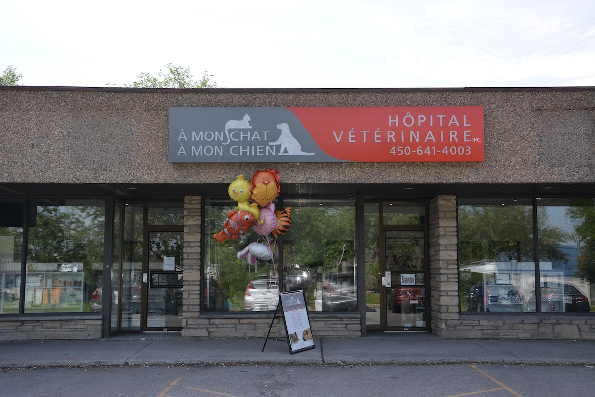 Hôpital vétérinaire À mon chat À mon chien