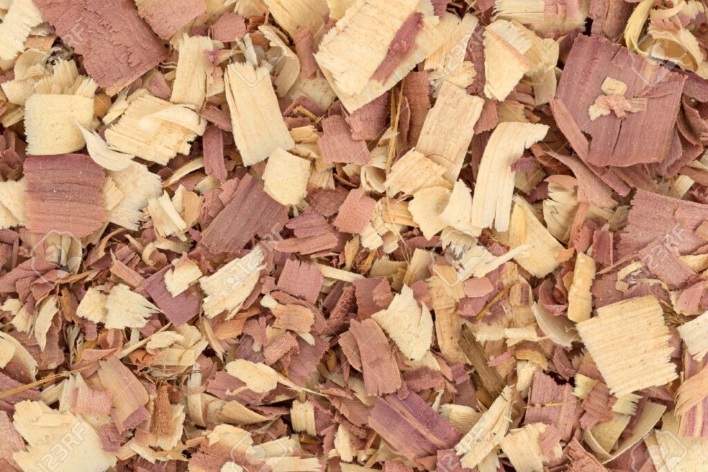 choisir la meilleure litière