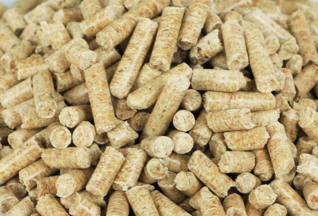 choisir la meilleure litière