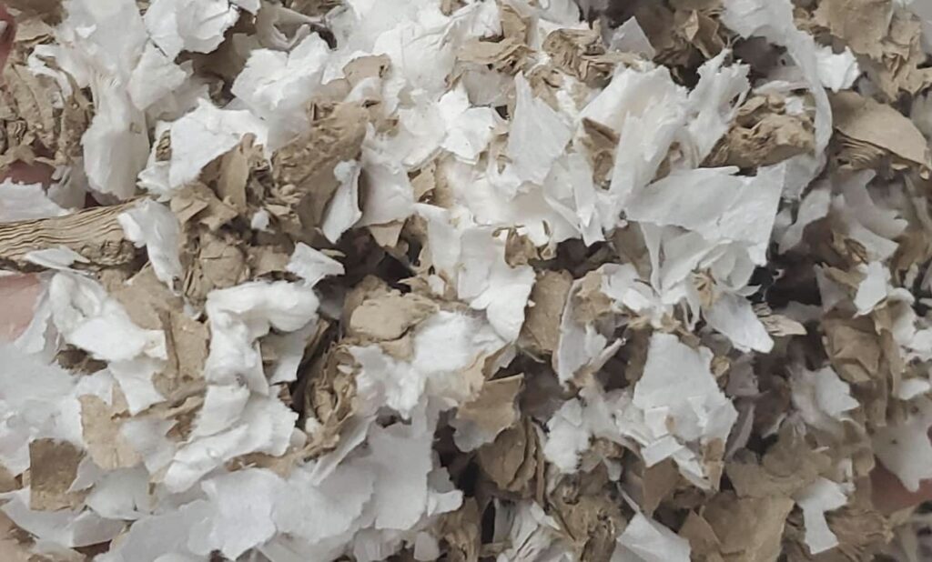 choisir la meilleure litière