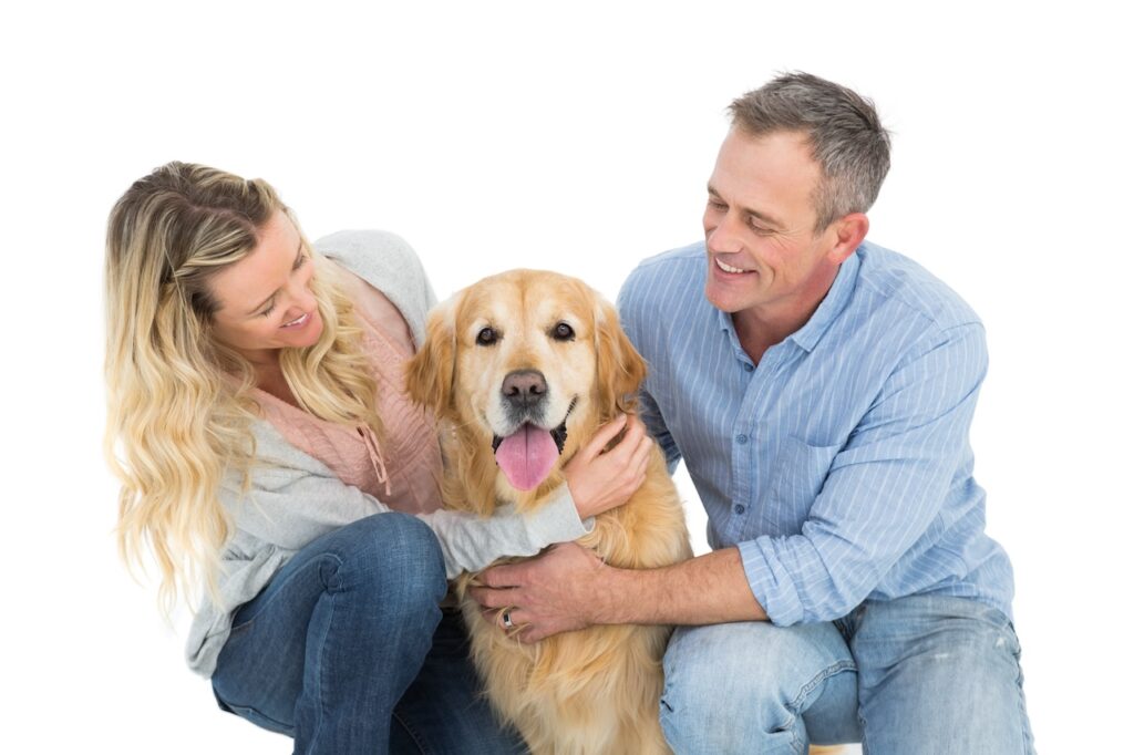 Propriétaires soutenant leur chien souffrant d'épilepsie, assurant son bien-être et son suivi médical