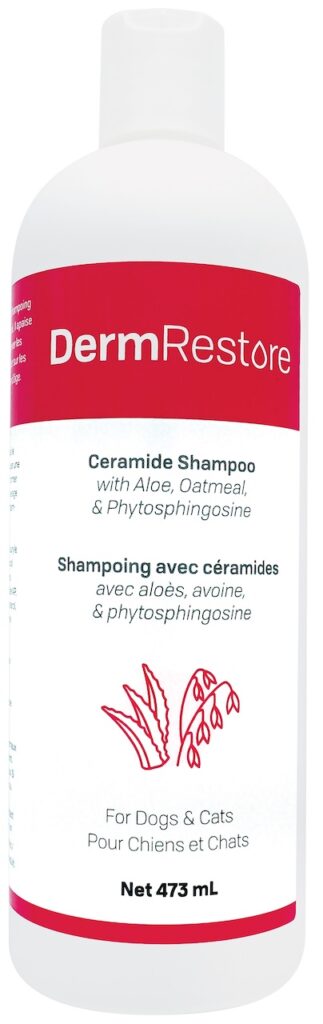 Bien soigner votre chien