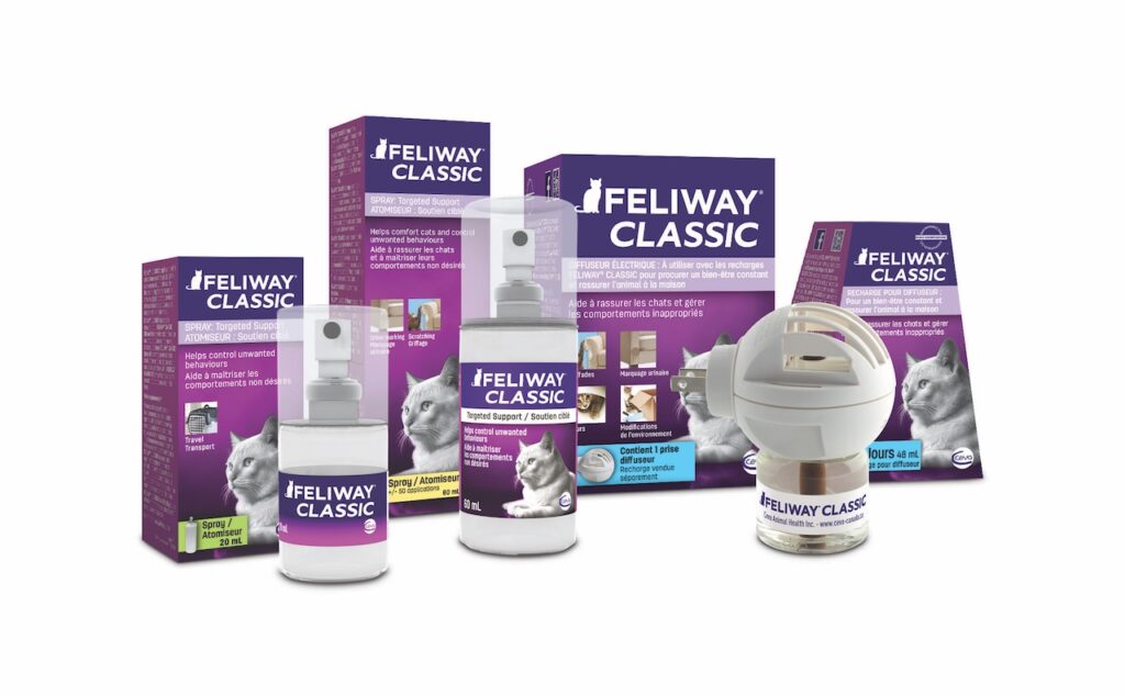 Feliway: chats et déménagements