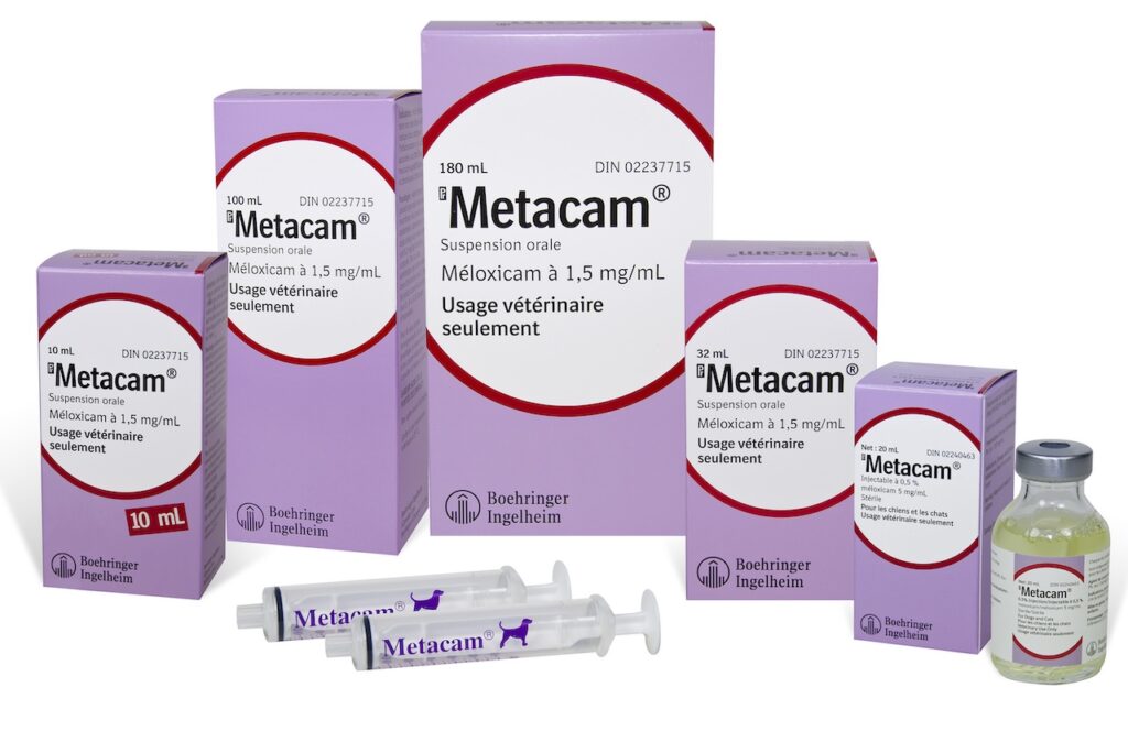 Anti-inflammatoire utilisé pour réduire l'inflammation après chirurgie du ligament croisé