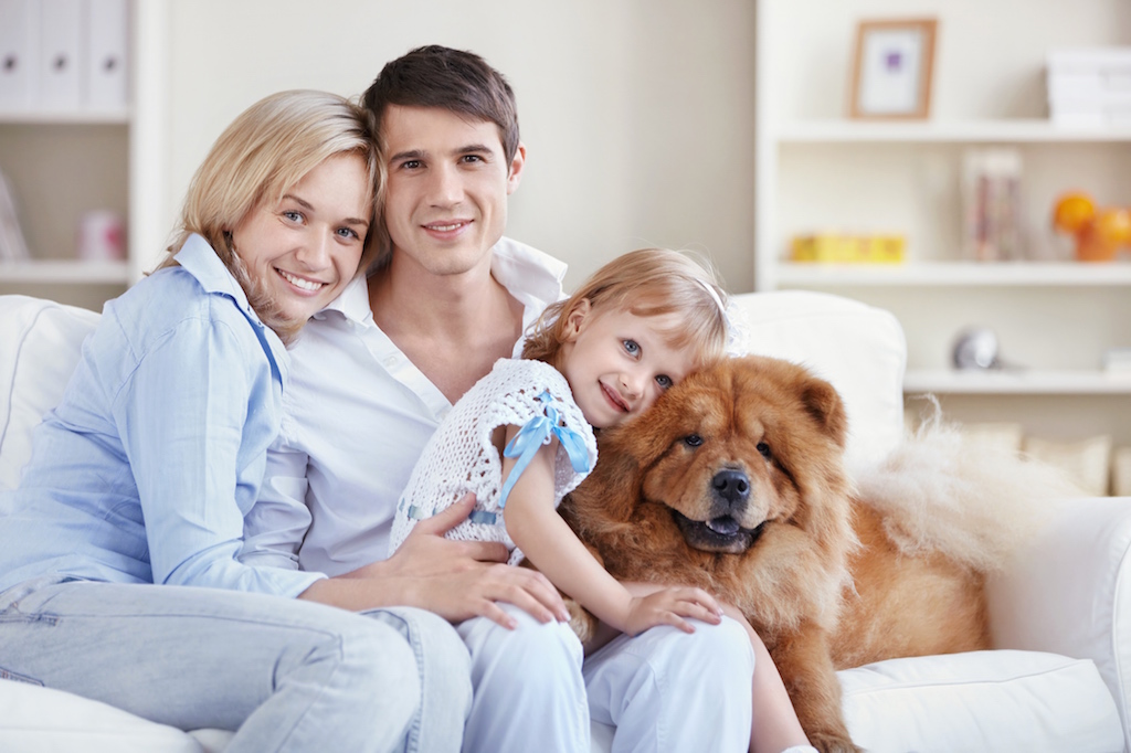 conseils pour la famille a propos des puces chez le chien