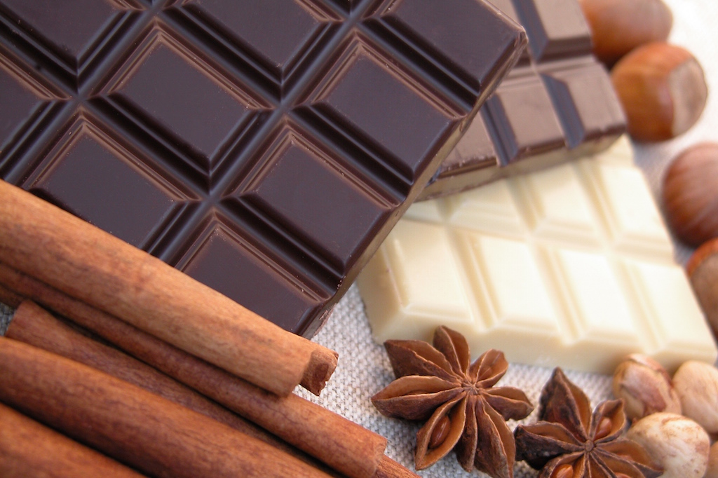 Intoxication au chocolat chez le chien