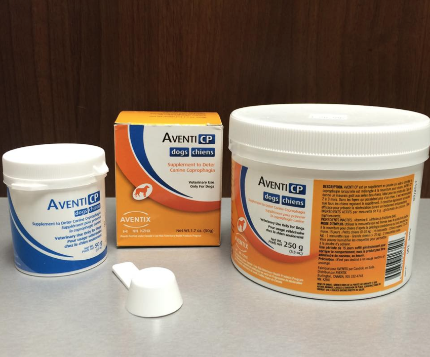 chien-mange-ses-excrements