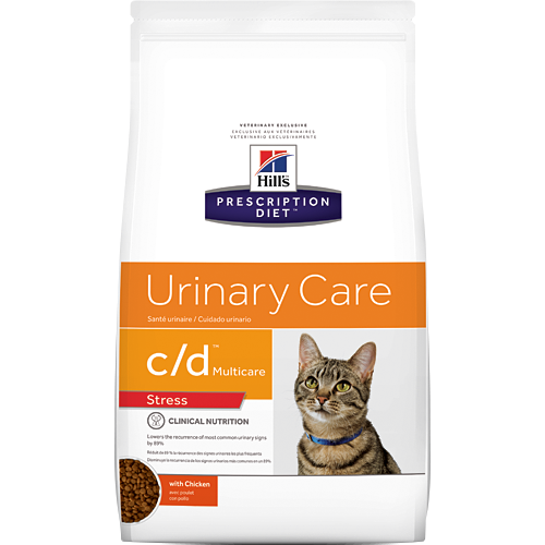 cystite idiopathique chez le chat